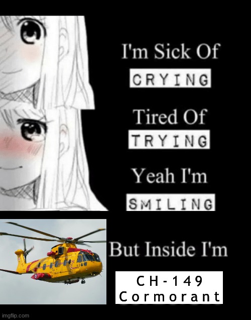 Deep down, we're all Canadian rescue helicopters | C H - 1 4 9 C o r m o r a n t | image tagged in i'm sick of crying,dank memes,fun,memes,helicopter,inside | made w/ Imgflip meme maker