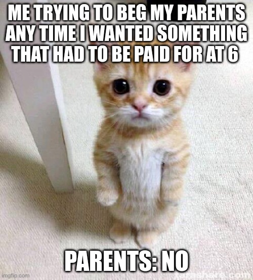 funny meme | ME TRYING TO BEG MY PARENTS ANY TIME I WANTED SOMETHING THAT HAD TO BE PAID FOR AT 6; PARENTS: NO | image tagged in memes,cute cat | made w/ Imgflip meme maker