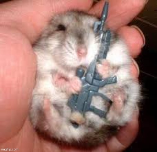 Locked and loaded | image tagged in locked and loaded | made w/ Imgflip meme maker