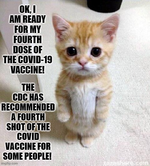 4th Jab! | OK, I AM READY FOR MY FOURTH DOSE OF THE COVID-19 VACCINE! THE CDC HAS RECOMMENDED A FOURTH SHOT OF THE COVID VACCINE FOR SOME PEOPLE! | image tagged in cute cat,morons | made w/ Imgflip meme maker