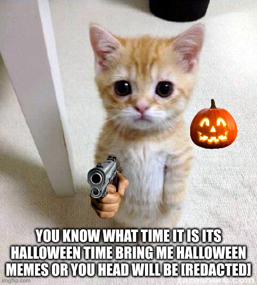 its spoopy moth! | YOU KNOW WHAT TIME IT IS ITS HALLOWEEN TIME BRING ME HALLOWEEN MEMES OR YOU HEAD WILL BE [REDACTED] | image tagged in memes,cute cat,spoopy month,happy halloween | made w/ Imgflip meme maker
