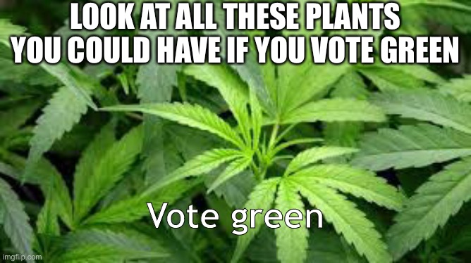 Greens vote | LOOK AT ALL THESE PLANTS YOU COULD HAVE IF YOU VOTE GREEN; Vote green | image tagged in greens vote | made w/ Imgflip meme maker