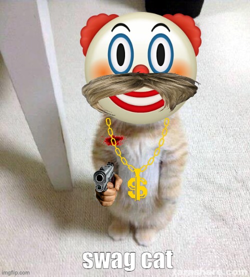 *no longer cute cat* | swag cat | image tagged in memes,cute cat | made w/ Imgflip meme maker