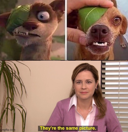 i see no different | image tagged in memes,they're the same picture | made w/ Imgflip meme maker