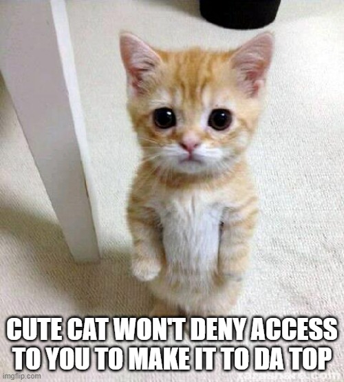 Creative | CUTE CAT WON'T DENY ACCESS TO YOU TO MAKE IT TO DA TOP | image tagged in memes,cute cat | made w/ Imgflip meme maker
