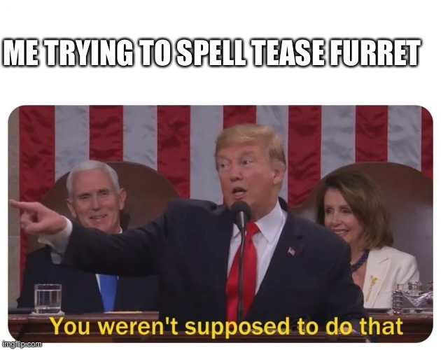You weren't supposed to do that | ME TRYING TO SPELL TEASE FURRET | image tagged in you weren't supposed to do that | made w/ Imgflip meme maker