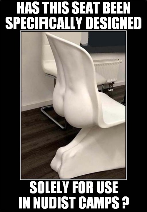 The Comfy Chair ! | HAS THIS SEAT BEEN SPECIFICALLY DESIGNED; SOLELY FOR USE IN NUDIST CAMPS ? | image tagged in seat,nudist | made w/ Imgflip meme maker