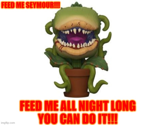 Feed Me | FEED ME SEYMOUR!!! FEED ME ALL NIGHT LONG
YOU CAN DO IT!!! | image tagged in feed me | made w/ Imgflip meme maker