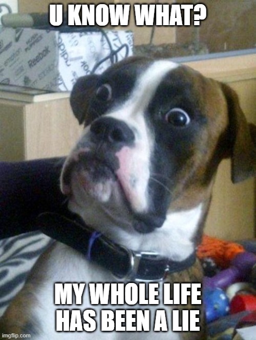 Suprised Boxer | U KNOW WHAT? MY WHOLE LIFE HAS BEEN A LIE | image tagged in suprised boxer | made w/ Imgflip meme maker