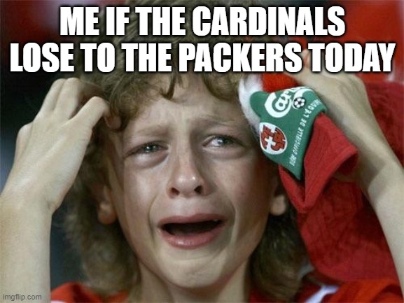 Cardinal football fans be like | ME IF THE CARDINALS LOSE TO THE PACKERS TODAY | image tagged in cardinal football fans be like | made w/ Imgflip meme maker