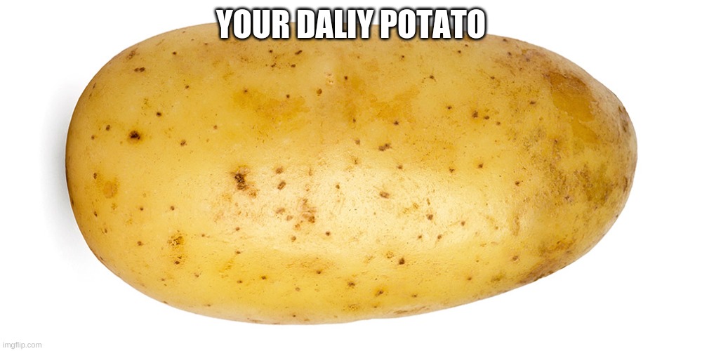 potato | YOUR DALIY POTATO | image tagged in potato | made w/ Imgflip meme maker