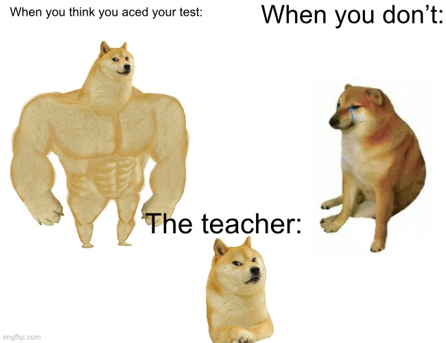 Buff Doge vs. Cheems Meme | When you don’t:; When you think you aced your test:; The teacher: | image tagged in memes,buff doge vs cheems | made w/ Imgflip meme maker