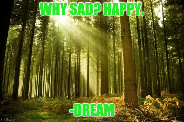 Happy quote from Dream SMP # 5 | WHY SAD? HAPPY. -DREAM | image tagged in sunlit forest | made w/ Imgflip meme maker