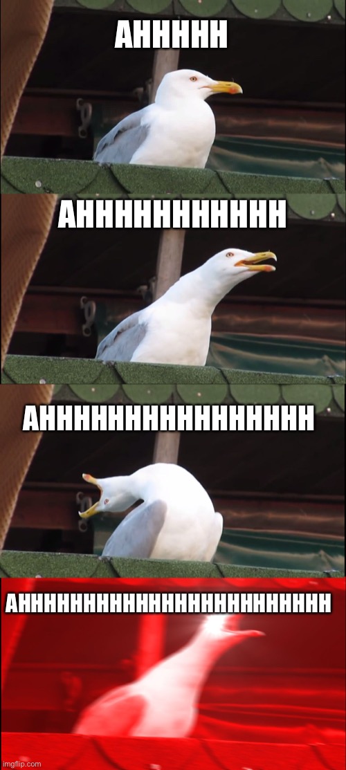 Inhaling Seagull Meme | AHHHHH; AHHHHHHHHHHH; AHHHHHHHHHHHHHHHH; AHHHHHHHHHHHHHHHHHHHHHHHH | image tagged in memes,inhaling seagull | made w/ Imgflip meme maker