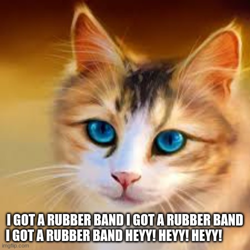 I GOT A RUBBER BAND I GOT A RUBBER BAND I GOT A RUBBER BAND HEYY! HEYY! HEYY! | image tagged in lol | made w/ Imgflip meme maker