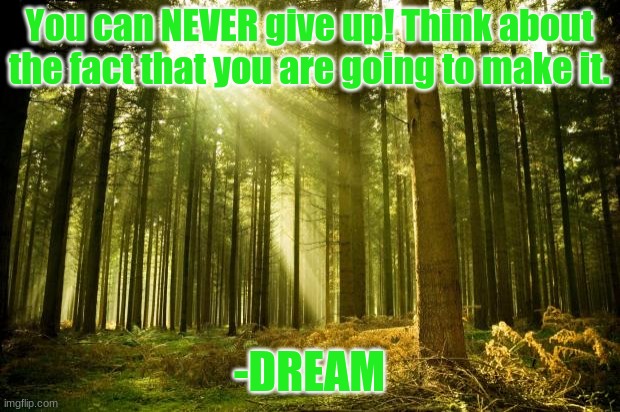 Happy quote from the Dream SMP #6 | You can NEVER give up! Think about the fact that you are going to make it. -DREAM | image tagged in sunlit forest,happy quotes | made w/ Imgflip meme maker