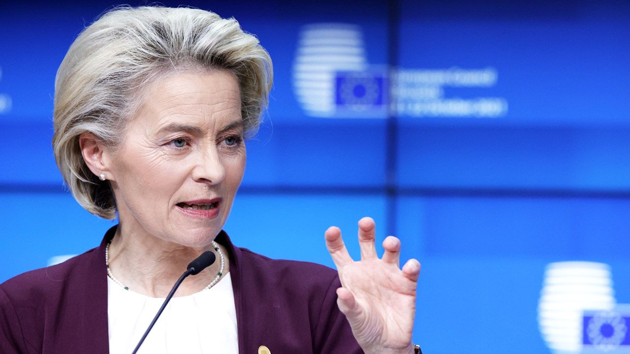 High Quality Ursula von der Leyen Blank Meme Template