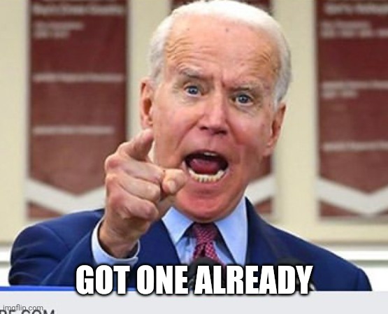 Joe Biden no malarkey | GOT ONE ALREADY | image tagged in joe biden no malarkey | made w/ Imgflip meme maker