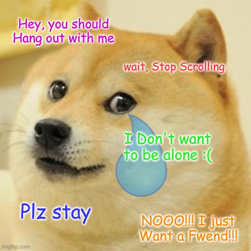 I just want A Fwend!!! |  Hey, you should Hang out with me; wait, Stop Scrolling; I Don't want to be alone :(; Plz stay; NOOO!!! I just Want a Fwend!!! | image tagged in memes,doge | made w/ Imgflip meme maker