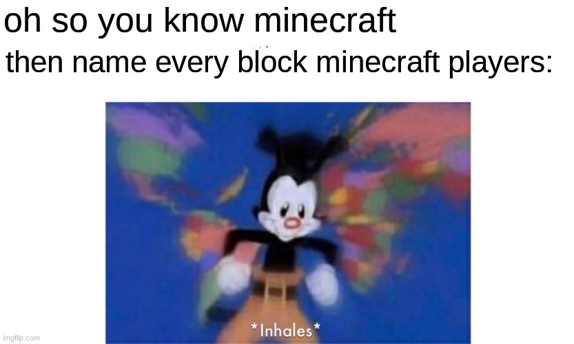 minecraft | oh so you know minecraft; then name every block minecraft players: | image tagged in world occupied | made w/ Imgflip meme maker