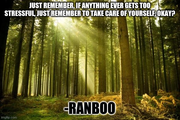 Happy quote from the Dream SMP #7 i think... | JUST REMEMBER, IF ANYTHING EVER GETS TOO STRESSFUL, JUST REMEMBER TO TAKE CARE OF YOURSELF, OKAY? -RANBOO | image tagged in sunlit forest,happy quote,sorry if too annoying mods plz tell me if i need to stop | made w/ Imgflip meme maker