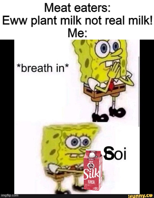 Spongebob Boi |  Meat eaters: Eww plant milk not real milk!
Me:; s | image tagged in spongebob boi,memes,vegan,veganism,soy milk | made w/ Imgflip meme maker