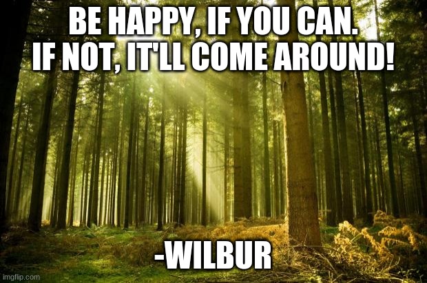 Happy quote from the Dream SMP #8?  MODS! TELL ME IF I NEED TO STOP | BE HAPPY, IF YOU CAN. IF NOT, IT'LL COME AROUND! -WILBUR | image tagged in sunlit forest,happy quote | made w/ Imgflip meme maker