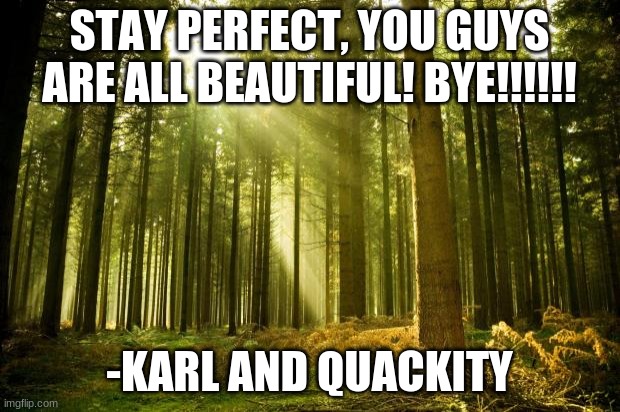 Happy quote from the Dream SMP #9 | STAY PERFECT, YOU GUYS ARE ALL BEAUTIFUL! BYE!!!!!! -KARL AND QUACKITY | image tagged in sunlit forest | made w/ Imgflip meme maker