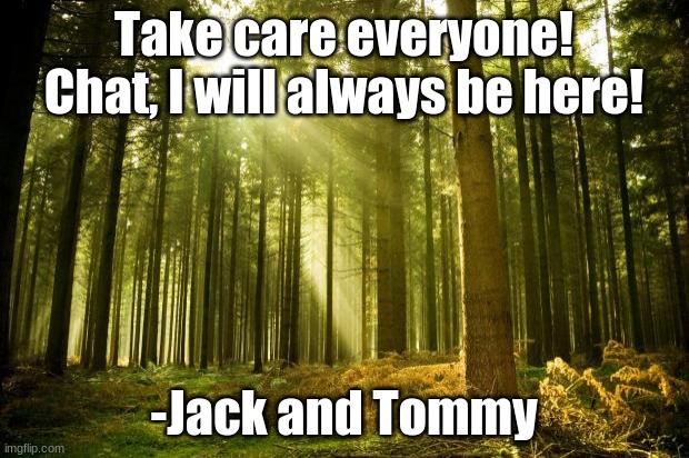 Happy quote from the Dream SMP #10 | Take care everyone! Chat, I will always be here! -Jack and Tommy | image tagged in sunlit forest,happy quote | made w/ Imgflip meme maker