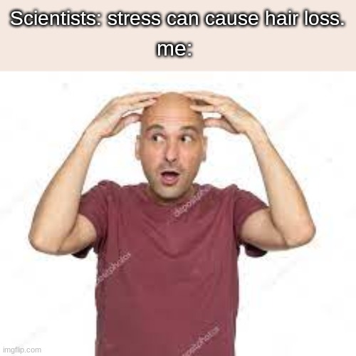 Meme Creator  Funny If worry leads to Hair Loss Then shouldnt we stop  worrying about hair loss Meme Generator at MemeCreatororg