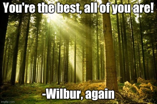 Happy quote from the Dream SMP #11 | You're the best, all of you are! -Wilbur, again | image tagged in sunlit forest,happy quote | made w/ Imgflip meme maker