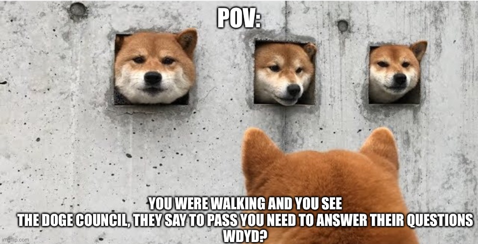 The doge council | POV:; YOU WERE WALKING AND YOU SEE THE DOGE COUNCIL, THEY SAY TO PASS YOU NEED TO ANSWER THEIR QUESTIONS
WDYD? | image tagged in the doge council | made w/ Imgflip meme maker