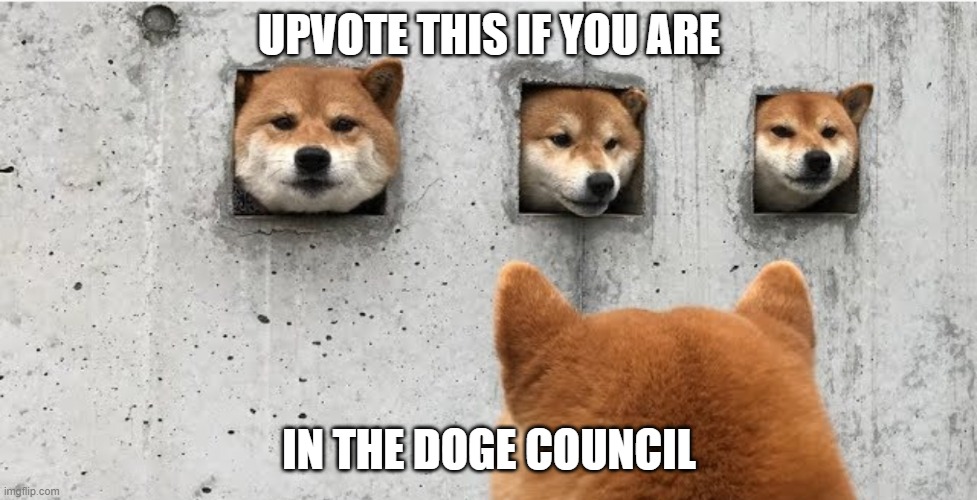 Doge Council Meme | UPVOTE THIS IF YOU ARE; IN THE DOGE COUNCIL | image tagged in the doge council | made w/ Imgflip meme maker