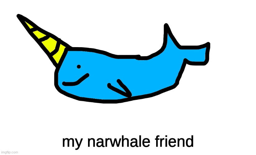 narwhale | my narwhale friend | image tagged in narwhale | made w/ Imgflip meme maker