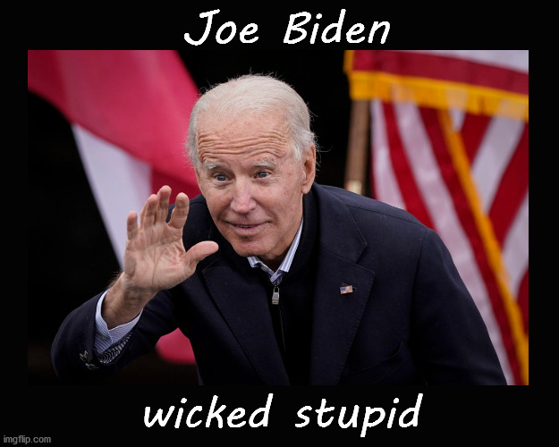 Joe Biden; wicked stupid | Joe Biden; wicked stupid | image tagged in joe biden | made w/ Imgflip meme maker