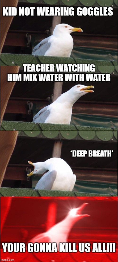 Inhaling Seagull Meme | KID NOT WEARING GOGGLES; TEACHER WATCHING HIM MIX WATER WITH WATER; *DEEP BREATH*; YOUR GONNA KILL US ALL!!! | image tagged in memes,inhaling seagull | made w/ Imgflip meme maker