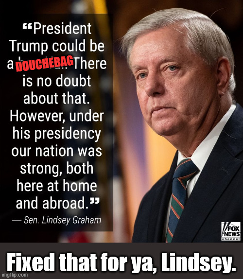 Trump Could Be a Handful | DOUCHEBAG; Fixed that for ya, Lindsey. | image tagged in donald trump | made w/ Imgflip meme maker