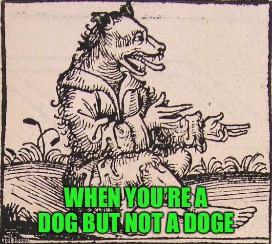 WHEN YOU’RE A DOG BUT NOT A DOGE | made w/ Imgflip meme maker