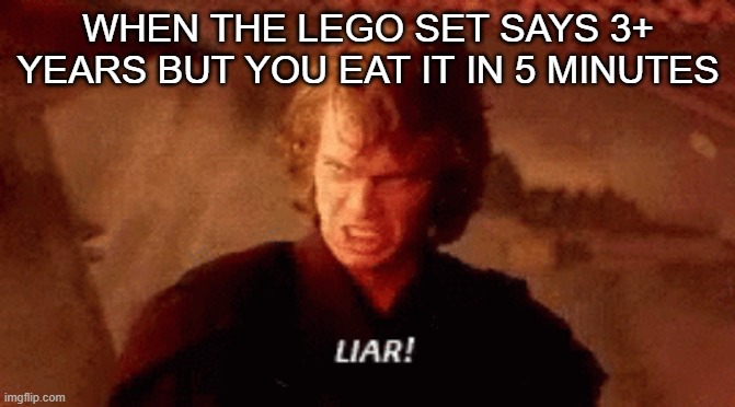 liar | WHEN THE LEGO SET SAYS 3+ YEARS BUT YOU EAT IT IN 5 MINUTES | image tagged in anakin liar | made w/ Imgflip meme maker