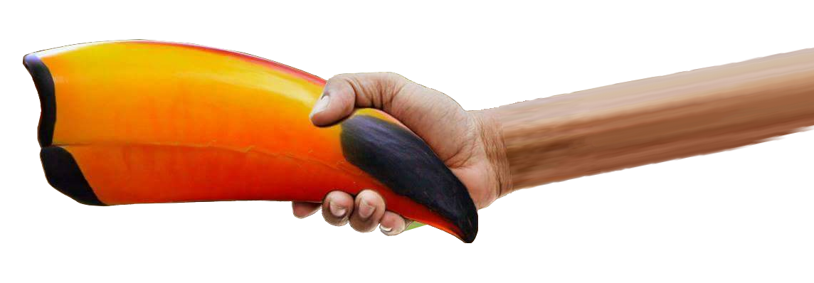 extra toucan beak Blank Meme Template