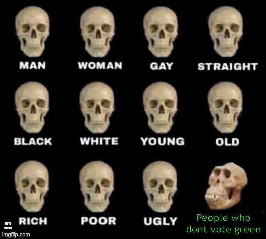 idiot skull | People who dont vote green; VOTE GREEN | image tagged in idiot skull | made w/ Imgflip meme maker