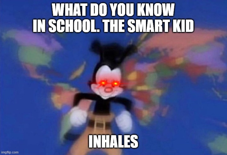 WELL WHAT | WHAT DO YOU KNOW IN SCHOOL. THE SMART KID; INHALES | image tagged in yakko's world,school,animaniacs | made w/ Imgflip meme maker
