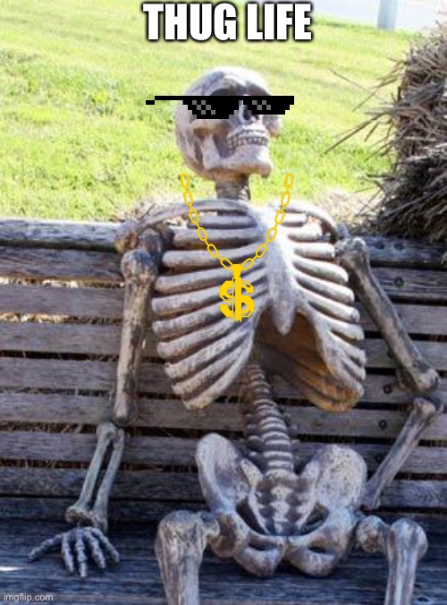 Waiting Skeleton Meme | THUG LIFE | image tagged in memes,waiting skeleton | made w/ Imgflip meme maker