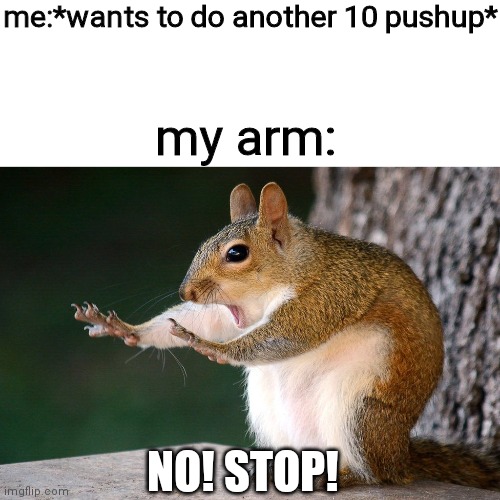 Squirrel no | me:*wants to do another 10 pushup*; my arm:; NO! STOP! | image tagged in squirrel no | made w/ Imgflip meme maker