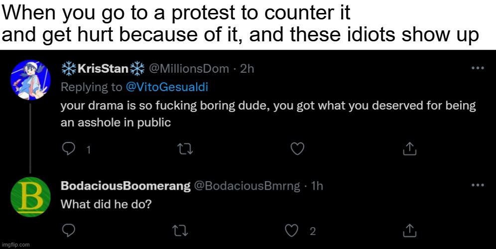 Morons think that you should expect people to hurt you if you go to a protest to counter it. | When you go to a protest to counter it and get hurt because of it, and these idiots show up | image tagged in funny,netflix,protesters | made w/ Imgflip meme maker