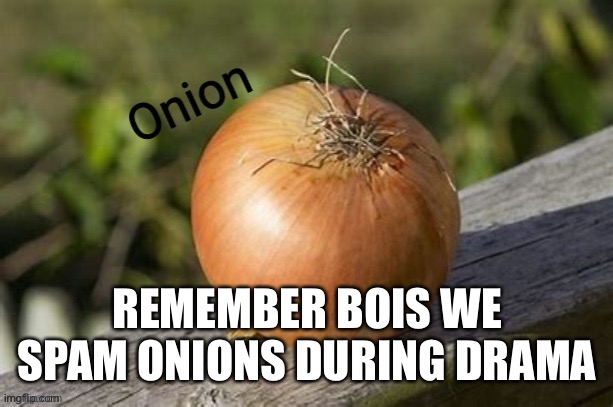 Onion | REMEMBER BOIS WE SPAM ONIONS DURING DRAMA | image tagged in onion | made w/ Imgflip meme maker