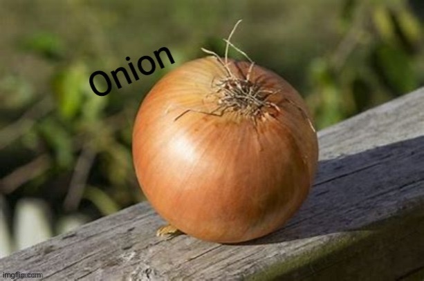 Damn I gtg | image tagged in onion | made w/ Imgflip meme maker
