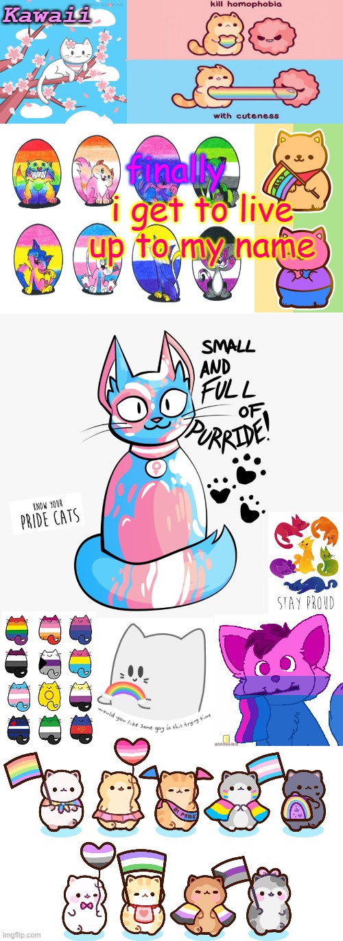 I AM NOW. K A W A I I . | finally; i get to live up to my name | image tagged in more pride catz except you guys finally got the short one | made w/ Imgflip meme maker