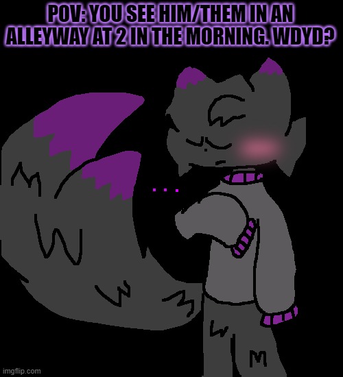 Shadow: ... | POV: YOU SEE HIM/THEM IN AN ALLEYWAY AT 2 IN THE MORNING. WDYD? | made w/ Imgflip meme maker