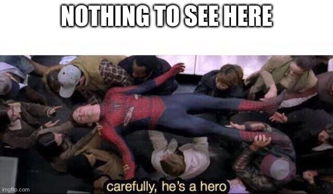 Carefully he's a hero | NOTHING TO SEE HERE | image tagged in carefully he's a hero | made w/ Imgflip meme maker